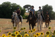 Spain-Southern Spain-Train and Trail - in Southern Spain